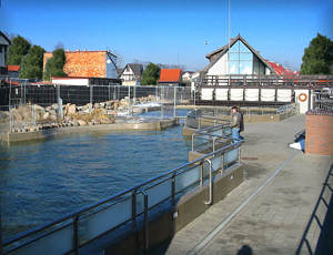 baseny fokarium